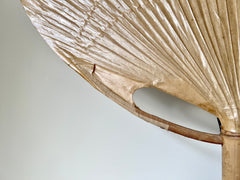 Uchiwa wall light by Ingo Maurer for M-Design, Germany 1970s