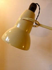 1960s Anglepoise lamp - eyespy