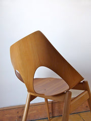 1950s Kadya 'Jason' chair - eyespy